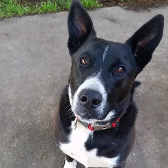 Meet your Posher, Donna - Picture 2 of 8